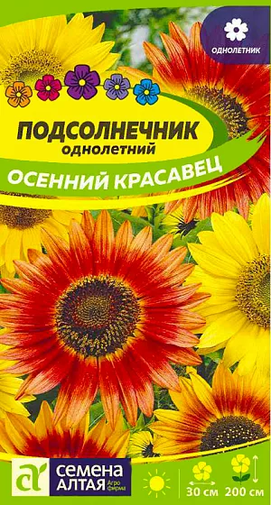 Семена Подсолнечник декоративный Осенний Красавец из каталога Подсолнечник <div>
Семена Подсолнечник декоративный Осенний Красавец.
</div>
Декоративная разновидность этой культуры очень популярна у садоводов. Высота растения до 200 см. Соцветия-корзинки с золотисто-желтыми, красными и коричневыми цветками диаметром до 30 см. Идеально подходит для декорирования изгородей, строений, прекрасно смотрится как в одиночных, так и в групповых посадках, в срезке долго сохраняет свежесть и декоративность. Свето- и теплолюбивое растение. Наибольшей декоративности достигает на открытых солнечных участках, защищенных от сильных ветров, с хорошо дренированными, достаточно плодородными рыхлыми почвами с нейтральной реакцией. Не выносит кислых почв. Положительно реагирует на полив. Посевной материал рекомендуется предварительно подготовить, для этого семена на сутки заворачивают в ткань, смоченную раствором древесной золы (на 1 л теплой воды 2 ст. л. золы). Чаще выращивают прямым посевом семян в открытый грунт в мае, после прекращения устойчивых заморозков. В подготовленном грунте сделать лунки глубиной 4-5 см по схеме 70х70 см. В каждую лунку посеять 2-3 семечка, глубина заделки 3-4 см. Грунт немного уплотнить и полить. При температуре почвы +18…+25°С всходы появляются на 7-14 день. Для получения более раннего цветение, можно посеять семена на рассаду в начале апреля в торфяные горшочки по 1-2 семечка в каждый (растения плохо переносят пикировку и пересадку). Посевы увлажняют, накрывают пленкой или стеклом и помещают в теплое место до появления всходов. В открытый грунт рассаду высаживают вместе с торфяными горшочками в конце мая - июне, когда минует угроза возвратных заморозков. Продолжительность цветения с июня по сентябрь.