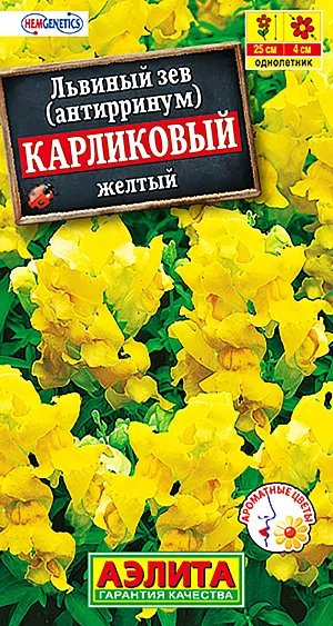 Семена Львиный зев Карликовый жёлтый.
Компактный, кустистый, красивоцветущий, ароматный летник высотой 15-20 см. Цветки собраны в густые, укороченные кисти. Растения неприхотливые, холодостойкие и засухоустойчивые, светолюбивые. Если вовремя удалять увядающие цветки и не допускать завязывания семян, то кустики обильно цветут до заморозков. Идеальное растение для контейнерного выращивания на балконах, в садовых и уличных вазонах, на клумбах, в рабатках и бордюрах. 
Агротехника. Выращивается через рассаду. Семена высевают поверхностно, без заделки, увлажняют из распылителя и накрывают стеклом для поддержания постоянной влажности до всходов. Семена прорастают на свету! Всходы появляются через 7-12 дней, растут медленно. В фазе одного-двух настоящих листьев сеянцы пикируют. Высадку рассады в открытый грунт проводят со второй половины мая. Посадки размещают на солнечных участках с плодородными, дренированными почвами.