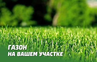 ГАЗОН НА ВАШЕМ УЧАСТКЕ