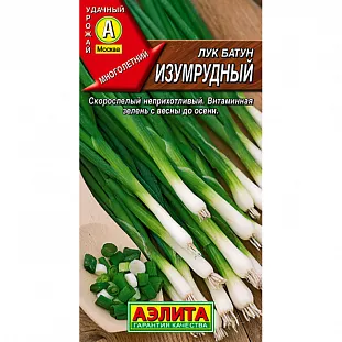 Лук батун Изумрудный