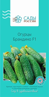 Семена Огурец Брандино F1
