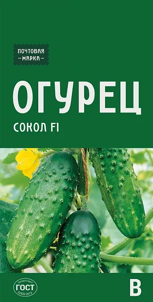 Семена Огурец Сокол F1