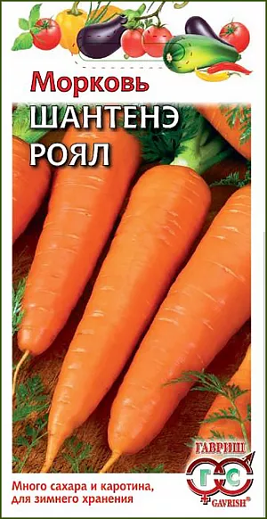Семена Морковь Шантенэ Роял Семена Морковь Шантенэ Роял