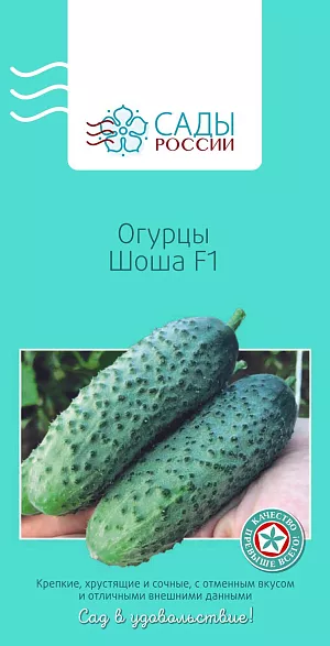 Семена Огурец Шоша 5шт Семена Огурец Шоша 5шт