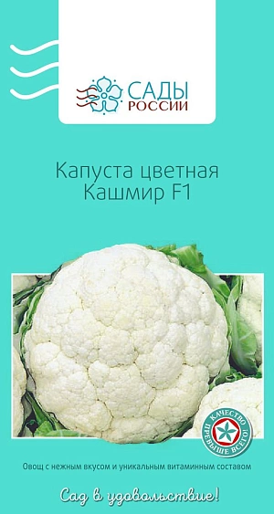 Семена Капуста цветная Кашмир F1 Семена Капуста цветная Кашмир F1