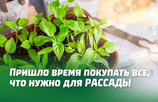 ВСЕ, ЧТО НУЖНО ДЛЯ РАССАДЫ