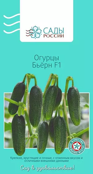 Семена Огурец Бьёрн F1