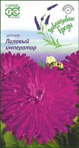 Семена Цинния Лиловый император.
Эффектная высокорослая цинния с лиловыми кактусовидными соцветиями 6-10 см в диаметре. 
Образует мощный, ветвистый от основания куст высотой 90 см. Цветение продолжительное и обильное с июля по сентябрь. 
Цинния светолюбива, засухоустойчива и теплолюбива. Выращивают рассадным способом. Семена высевают в апреле. 
Всходы появляются через 4-6 дней. 
В начале июня растения высаживают на расстоянии 30 см. Используется для озеленения и получения срезки.