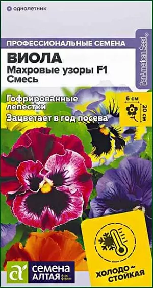 Виола Махровые узоры Смесь F1

Холодостойкий гибрид виолы, зацветающий уже в год посева. Не боится холода, при понижении температуры цветки становятся более гофрированными. Не теряет декоративности при неблагоприятных условиях. Цветки разнообразных эффектных окрасок. Прекрасно подойдет для выращивания на клумбах, в бордюрных посадках и в альпийских горках. Высота растения: 15-20 см Ширина растения: 20-25 см Диаметр цветка: 5-6 см Условия выращивания, место посадки: полутень, хорошо освещенные места Требования к грунту: питательный легкий грунт, слабокислый Способы выращивания: рассадный Время посева на рассаду: февраль-март Способ посева: семена высевают на уплотненное ложе замоченных торфяных таблеток или увлажненного грунта, заделывая на глубину 0,2-0,3 см. Емкость накрывают прозрачной крышкой или пленкой до появления первых всходов, периодически проветривают. Оптимальная температура +16…21°С днем и +10…13°С ночью. После появления первых всходов рекомендуется организовать досветку до 10-12 часов в сутки. Время до появления всходов: 7-20 дней 