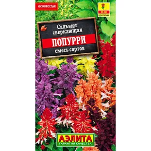 Сальвия Попурри Сальвия Попурри