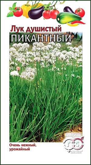 Семена Лук душистый Пикантный