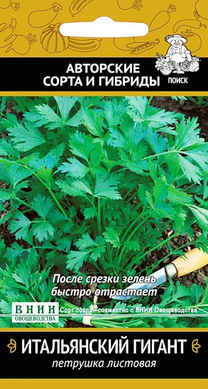 Семена Петрушка Итальянский гигант