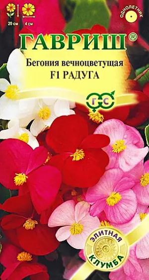 <div>
 Семена Бегония Радуга F1.
</div>
 <article>
<p>
 Яркая контрастная смесь вечноцветущей бегонии с темно-бронзовыми и изумрудно-зелеными листьями и цветами трех оттенков: красными, розовыми и белыми. Отлично растет как в открытом грунте, так и в качестве комнатного растения. Сильноветвистые кустики густой зелени с россыпью очаровательных цветков выглядят аккуратно весь сезон благодаря обильному цветению и способности к самоочищению (увядающие цветки сразу опадают).  Для рабаток, клумб, балконных ящиков. При высадке сплошным массивом получаются интересные ковровые композиции.  
</p>
<p>
 Семена высевают в начале марта, не заделывая, в неглубокие ящики с просеянной смесью листовой земли, торфа или песка (2:1:1). Посевы содержат под стеклом и до первой пикировки, равномерно увлажняют теплой водой с поддона. Пикируют в стадии 2-3 настоящих листочков. Бегонии хорошо переносят пересадку в любом возрасте, но при этом надо оберегать их хрупкие листья. До наступления заморозков кустик выкапывают, сажают в горшок, и переносят в зимнее помещение. На теплом солнечном окне бегония продолжает развитие и цветение, радуя вас долгую, холодную зиму.
</p>
 </article>