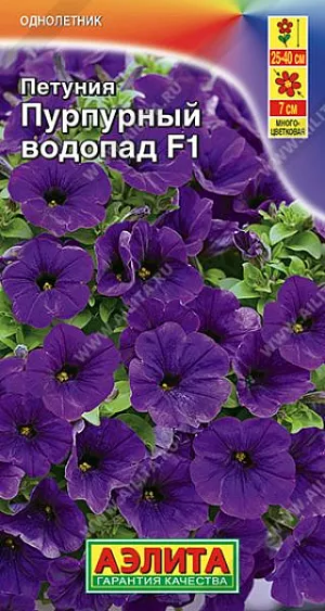 Петуния Пурпурный водопад F1 из каталога Петуния Одна из самых обильноцветущих петуний иностранной селекции. Растения в открытом грунте формируют раскидистый куст с отличным ветвлением, высотой 25-40 см и шириной 30-35 см. Побеги усыпаны цветками ? 5-7 см так густо, что почти не видно листвы. Петуния хорошо переносит дождь, ветер и экстремальные температуры, сохраняя высокую декоративность. Растения идеальны для подвесных корзин, кашпо и балконных ящиков.