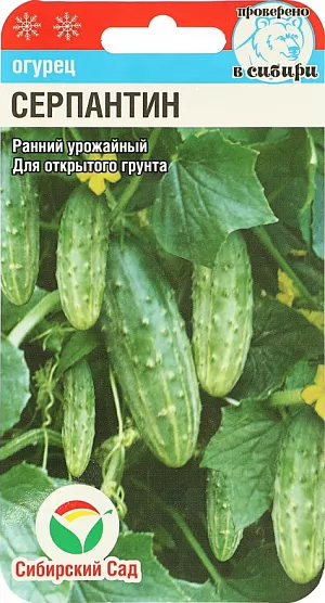 Семена Огурец Серпантин Семена Огурец Серпантин