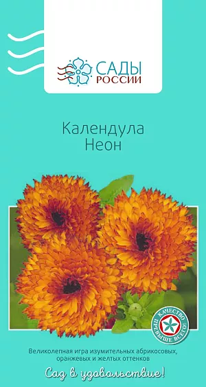 Календула лекарственная Неон 20шт из каталога Календула Календула лекарственная Неон
Неприхотливое и холодостойкое растение с махровыми или простыми соцветиями оживит любой уголок теплым солнечным сиянием своих лепестков. Ценно не только декоративными, но и целебными свойствами. Цветок этот обладает удивительной особенностью: он отпугивает вредителей сада, таких как гусеницы, клещи и другие. Посаженная рядом с астрами, календула будет защищать эти цветы от заболевания черной ножкой.