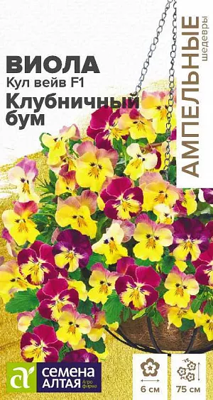 Семена Виола ампельная Кул Вейв Клубничный бум F1.<br>
 <br>
 Холодостойкий раннецветущий гибрид ампельной виолы. Быстро наращивает побеги, зацветает в год посева, цветение длится до глубоких заморозков. Цветки-хамелеоны теплого лимонного цвета с насыщенной клубничной каймой и ярким центром; в прохладный сезон имеют преимущественно розово-малиновый тон, в жаркий период - желтый. Выращивается в подвесных кашпо, балконных ящиках, а также в качестве почвопокровного растения.<br>
 <br>
   Длина плети: 60-75 см. Диаметр цветка: 4-6 см. Условия выращивания, место посадки: хорошо освещенные места. Требования к грунту: питательный легкий грунт (рекомендуется добавить вермикулит), слабокислый<br>
 <br>
   Способы выращивания: рассадный. Время посева на рассаду: февраль-март.<br>
 <br>
   Способ посева: семена высевают на уплотненное ложе замоченных торфяных таблеток или увлажненного грунта, заделывая на глубину 0,2-0,3 см. Емкость накрывают прозрачной крышкой или пленкой до появления первых всходов, периодически проветривают. Оптимальная температура для прорастания +21…24°С. После появления первых всходов рекомендуется организовать досветку 10-12 часов в сутки. Оптимальная температура для молодых растений +18…22°С.<br>
 Время до появления всходов: 2-5 дней<br>
 <br>
   Перевалка: производится в стадии 2-4 настоящих листьев в рассадные емкости диаметром около 9 см, 4-5 неделя после посева. Последующие перевалки осуществляются по мере роста корневой системы, больший объем грунта способствует росту боковых побегов и более активному цветению. Для подвесного кашпо используются емкости не менее 25-30 см в диаметре.<br>
 Время высадки в открытый грунт: май, не ранее 6-7 недели от посева<br>
 Посадочное расстояние: 25-30 см<br>
 <br>
   Период цветения: апрель-ноябрь, с 8 недели от полных всходов<br>
 Уход: необходим регулярный полив. Первую подкормку проводят в начале бутонизации сульфатом калия.<br>
 <br>
 Внимание! Семена праймированные, не требуют дополнительных обработок перед посевом!