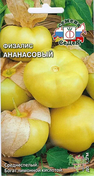 Семена Физалис Ананасовый