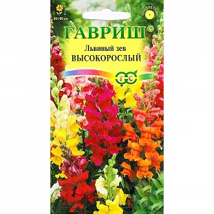 Семена Львиный зев Высокорослый