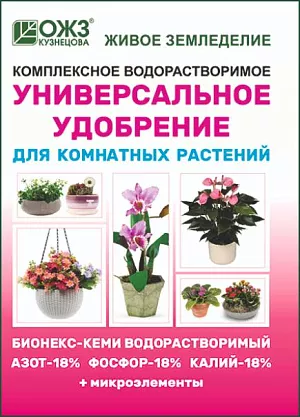 Бионекс Кеми Бионекс Кеми