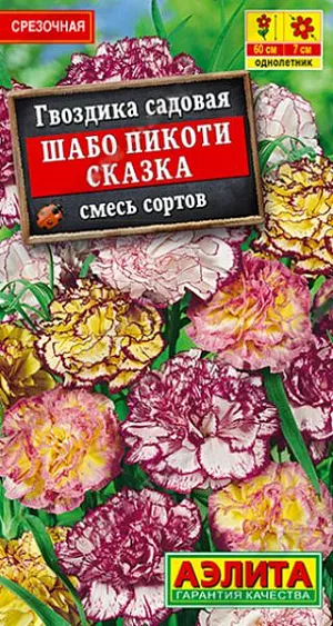 Гвоздика Шабо Пикоти Сказка смесь. Эффектная гвоздика с густомахровыми контрастными цветками и великолепным ароматом. Над розетками сизо-зеленых листьев возвышаются изящные цветоносы до 60 см. высотой. Каждый цветонос несет от одного до пяти крупных цветков диаметром 6-7 см. Цветение обильное и продолжительное. Растения неприхотливые, светолюбивые. Используются в бордюрах, миксбордерах и как горшечная культура. Дают отличную срезку, цветы стоят в воде не меньше недели.<br>
 <br>
 Пикировка сеянцев в фазе двух-трех листьев. Для получения компактных кустиков проводят 2-3-кратную прищипку побегов.<br>