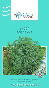 Укроп Малахит F1 Укроп Малахит F1