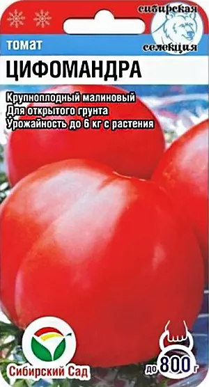 Семена Томат Цифомандра Семена Томат Цифомандра