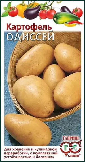 Семена Картофель Одиссей Семена Картофель Одиссей