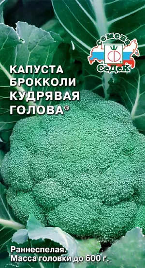 Семена Капуста брокколи Кудрявая голова