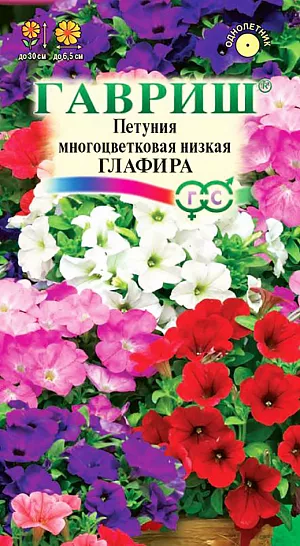 Семена Петуния Глафира многоцветковая низкая из каталога Петуния Семена Петуния Глафира многоцветковая низкая.<br>
Образует компактный куст высотой 20-30 см. Цветки 4,5-6,5 см в диаметре с гладким краем лепестков. Выращивают рассадным способом. Посев проводят с января по апрель, поверхностно, под стекло (после появления всходов стекло убирают). В зимние месяцы январь-февраль досветка обязательна. При ранних сроках посева цветение начинается в мае, что очень удобно для выращивания растений на балконе, закрытых террасах, патио. Без дополнительного освещения петунию высевают не раньше марта. Всходы появляются через 7-12 дней. На постоянное место высаживают, когда минует опасность заморозков. Светолюбива и достаточно засухоустойчива. Предпочитает легкие, плодородные, хорошо дренированные почвы. Петунии можно выращивать в течение нескольких лет, сохраняя зимой в освещенном помещении (растение сильно обрезают, t не более 12°C, умеренный полив). Петуния используется как фоновое и балконное растение, в контейнерах, вазах, для украшения подоконников, для посадки в рабатки, бордюры. Цветет обильно с начала мая до заморозков. Быстро восстанавливает декоративность после сильного дождя.