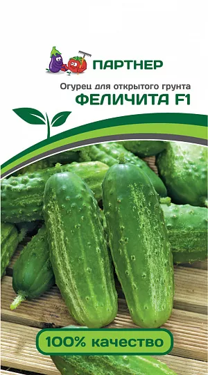 Семена Огурец Феличита Семена Огурец Феличита