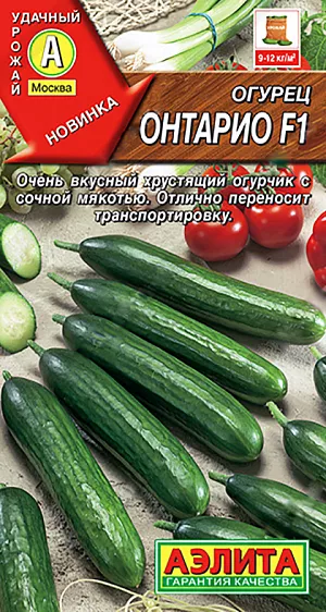 Семена Огурец Онтарио