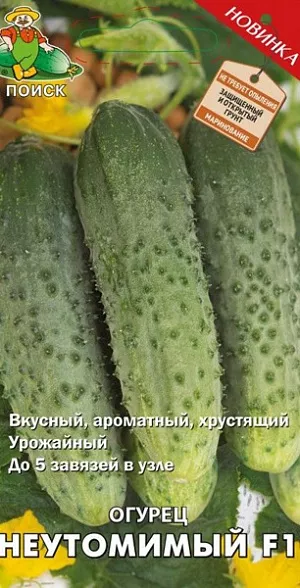 Семена Огурец Неутомимый F1