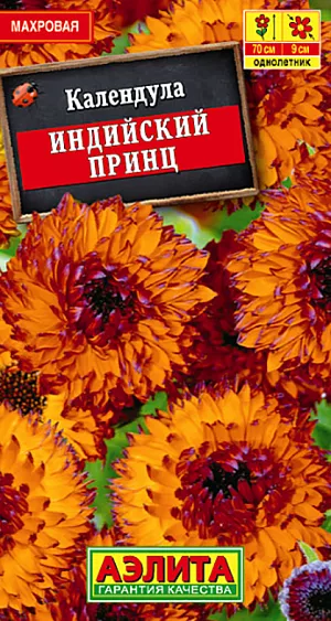 Семена Календула Индийский принц. <br>
 Обильноцветущий сорт календулы с необычными,  очень крупными махровыми соцветиями-корзинками 8-9 см. Кусты крепкие, мощные, сильноветвистые, высотой до75 см. Цветение раннее и продолжительное, с июня до окончания сезона. Растения неприхотливые, холодостойкие (выносят заморозки до -5°С), предпочитают солнечное местоположение. Используются для групповых и одиночных посадок на клумбах, в цветниках и рабатках, лекарственных садиках. Хорошо подходят для срезки. Удаление отцветших соцветий продлевает сроки декоративности растений.<br>
 <br>
Посев семян в открытый грунт на глубину 1-2 см с последующим прореживанием всходов. Цветение наступает в июле. Для более раннего цветения(в июне) возможен посев на рассаду в апреле, или подзимний посев(в конце октября).