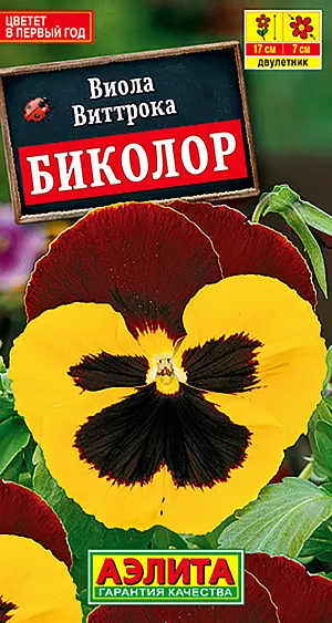 Семена Виола Биколор. Двулетник<br>
 Высота 15 см<br>
 Диаметр 7 см <br>
 Эта милая скромница компактной формы в течение нескольких недель подряд цветет крупными белыми цветками с желто-коричневой мордашкой, которые дерзко и смело пробиваются сквозь нежные побеги. Хорошо переносит пересадку в цветущем состоянии, поэтому ее высаживают в балконные ящики, садовые вазы, рабатки и клумбы прямо в цвету.<br>
Посев. Для цветения в год посева семена высевают на рассаду в первых числах марта, всходы появляются через неделю. Пикировка в фазе двух настоящих листьев. В открытый грунт рассаду высаживают, не дожидаясь сроков окончания возвратных заморозков. При посеве в открытый грунт в июне-июле цветет на следующий год. Растениям необходимы регулярные поливы, прополки, рыхления и подкормки