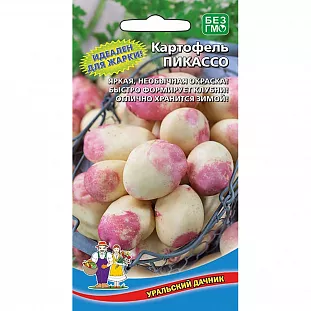 Семена Картофель Пикассо Семена Картофель Пикассо