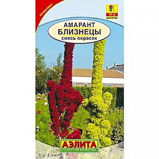 Амарант Близнецы