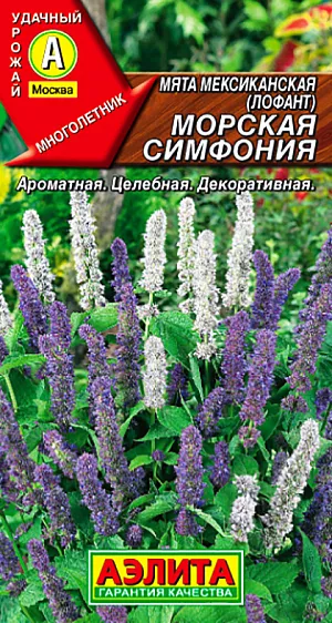Семена Мята мексиканская Морская симфония Семена Мята мексиканская Морская симфония