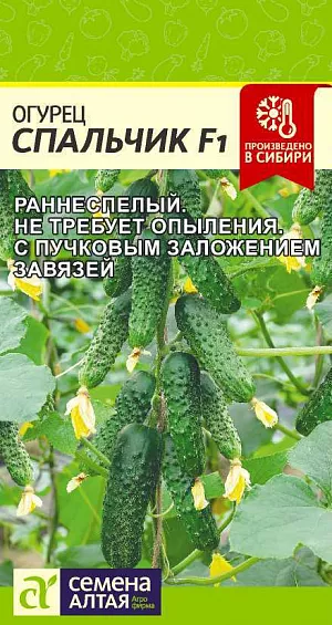 Семена Огурец Спальчик F1