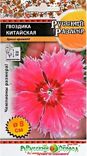 Семена Гвоздика китайская Русский размер.<br>
 <br>
 Многочисленные побеги усыпаны невероятно крупными, диаметром до 8 см, цветками. Ценится не только за размер цветка, но и за обильное, продолжительное цветение с июня по октябрь. Зацветает через 3 месяца от посева. Украсит клумбы, рабатки, балконы.<br>
 <br>
 Высота растения 20 см. Период цветения июнь-октябрь.<br>