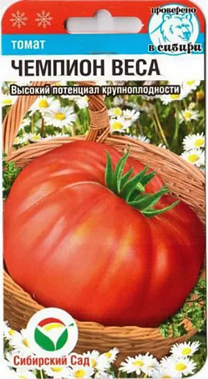 Семена Томат Чемпион Веса Семена Томат Чемпион Веса