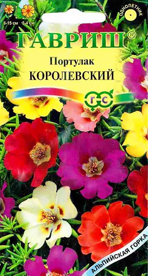 Семена Портулак Королевский.
Однолетнее растение семейства Портулаковые со стелющимися сочными стеблями. Высота растения 8-15 см. Цветки крупные, очень яркие, разнообразной окраски, широко открытые, диаметром 3-4 см, простые. Цветки открываются только в ясные, солнечные дни. Цветет с июля до заморозков. Высевают в марте-начале апреля. На постоянное место высаживают после окончания весенних заморозков, выдерживая расстояние между растениями 15-25 см. Широко используется для бордюров, в массивах, на каменистых горках, в вазах, горшках и балконных ящиках.