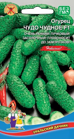 Семена Огурец Чудо чудное