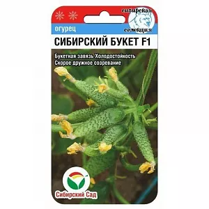 Семена Огурец Сибирский букет F1