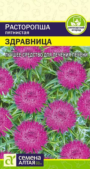 Расторопша пятнистая Здравница