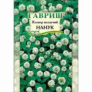 Газон клевер ползучий Нанук
