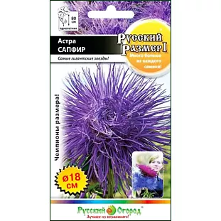 Семена Астра Русский размер I Сапфир