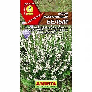 Иссоп лекарственный белый Иссоп лекарственный белый
