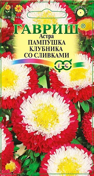 Семена Астра Пампушка Клубника со сливками из каталога Астра Семена Астра Пампушка Клубника со сливками.
Растение высотой 50 см. Соцветия полусферические, красной окраски с белым центром, диаметром 4-5 см.
Для выращивания подходят хорошо освещенные участки с плодородной суглинистой или супесчаной почвой.
Астры обладают высокой холодостойкостью – хорошо переносят заморозки до -3-4оС.
Выращивают, чаще всего, рассадным способом. Семена высевают в марте-апреле, пикируют с развитием первой пары настоящих листочков по схеме 5х5 см, в открытый грунт рассаду высаживают с середины мая до начала июня.
Возможен подзимний посев астр: в конце октября на глубину 5-8 см.
Сверху посевы мульчируют торфом или опилками на высоту 3-5 см.
Весной (в конце марта-начале апреля) посевы раскрывают.
Появившиеся в конце апреля всходы будут закаленными, а выросшие растения сильными, устойчивыми к заморозкам и обильно цвести.
Используются для получения срезки и оформления участка.