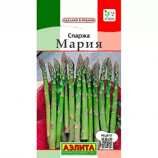 Спаржа Мария (2026; 36.04.01 /4) Спаржа Мария (2026; 36.04.01 /4)
